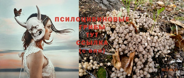 стафф Белокуриха